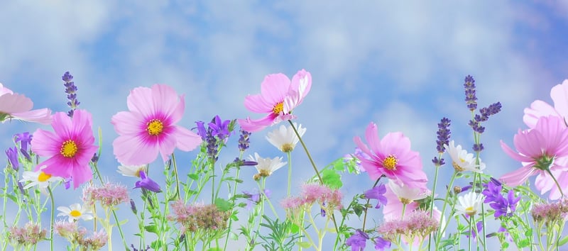 Fantasy Floral Enchantment